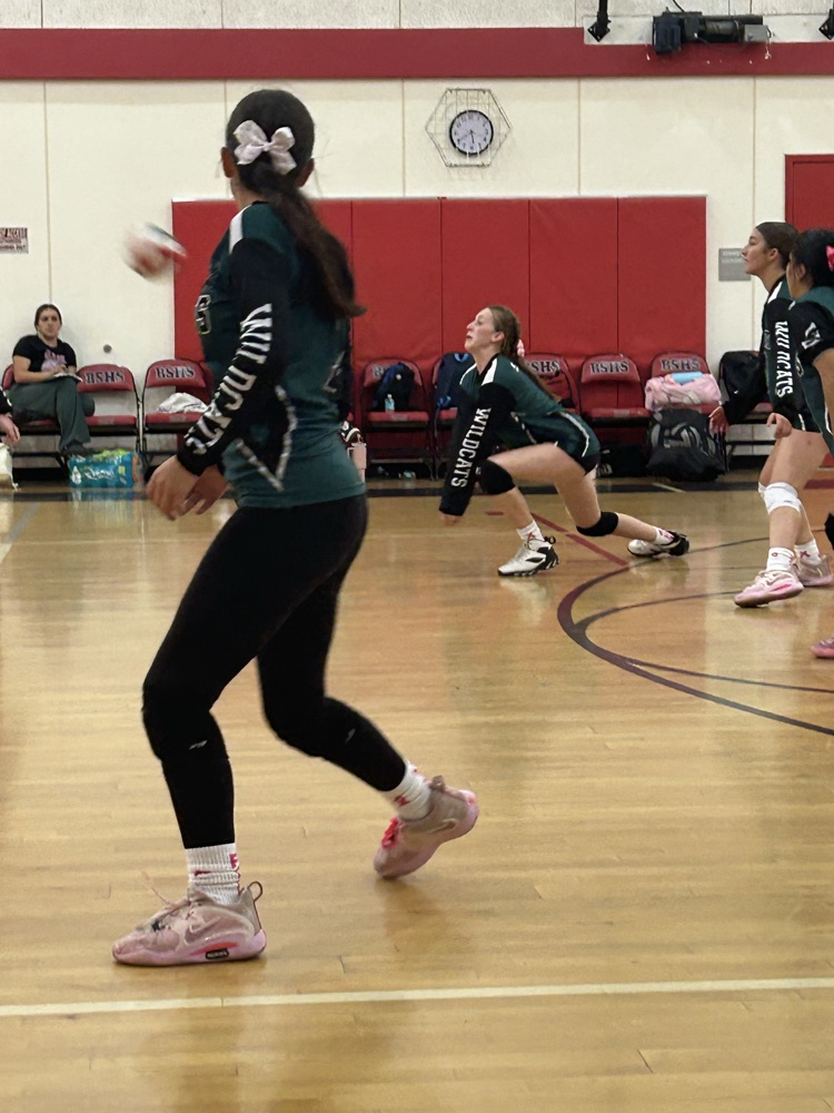 varsity volleyball