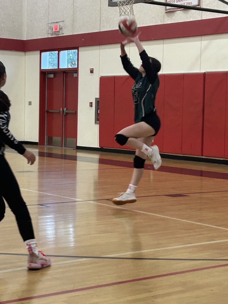 varsity volleyball