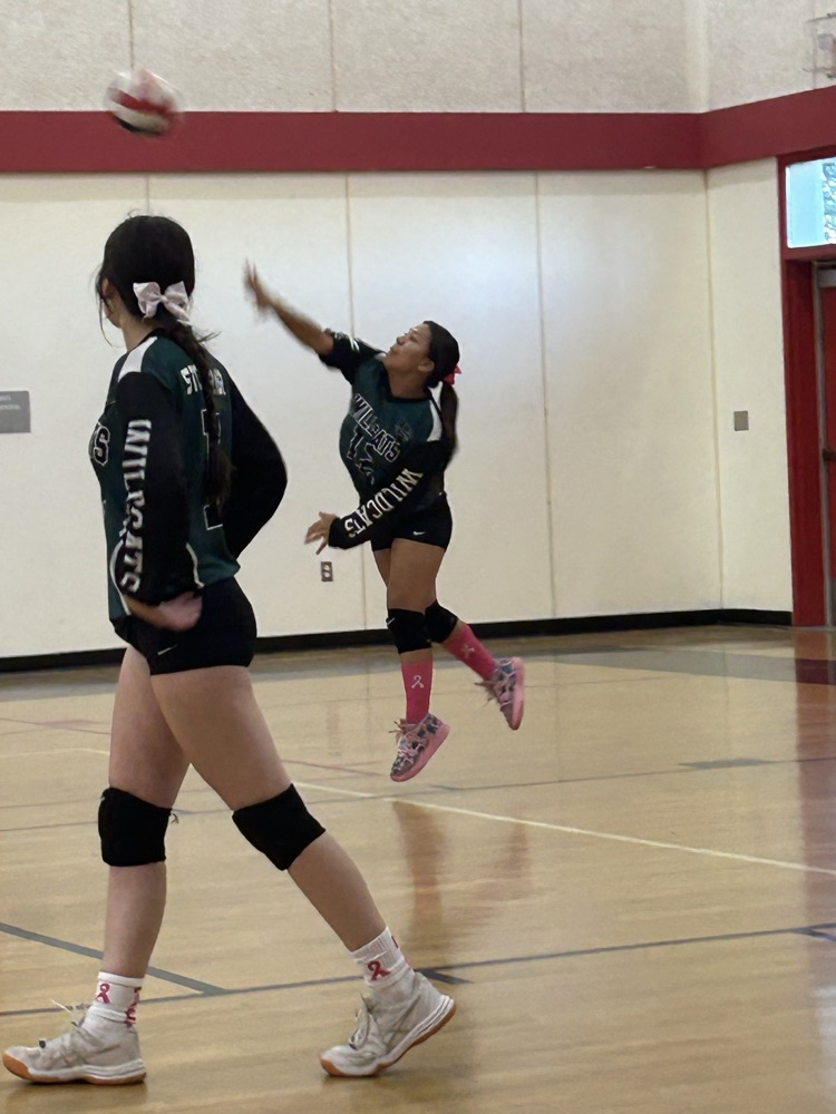 varsity volleyball