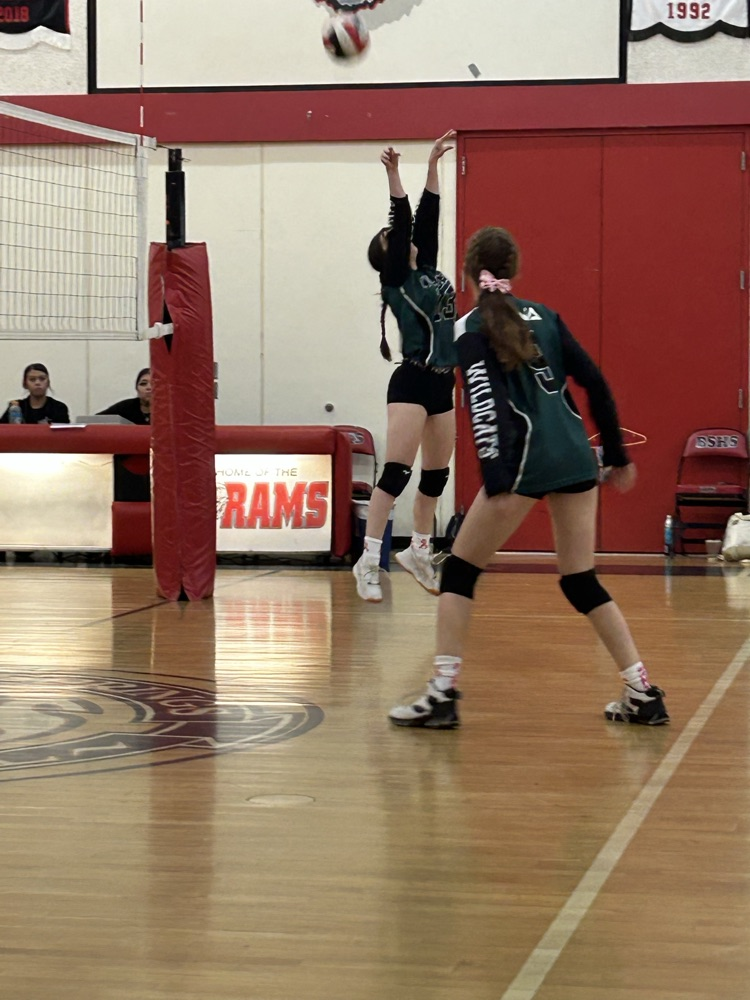 varsity volleyball
