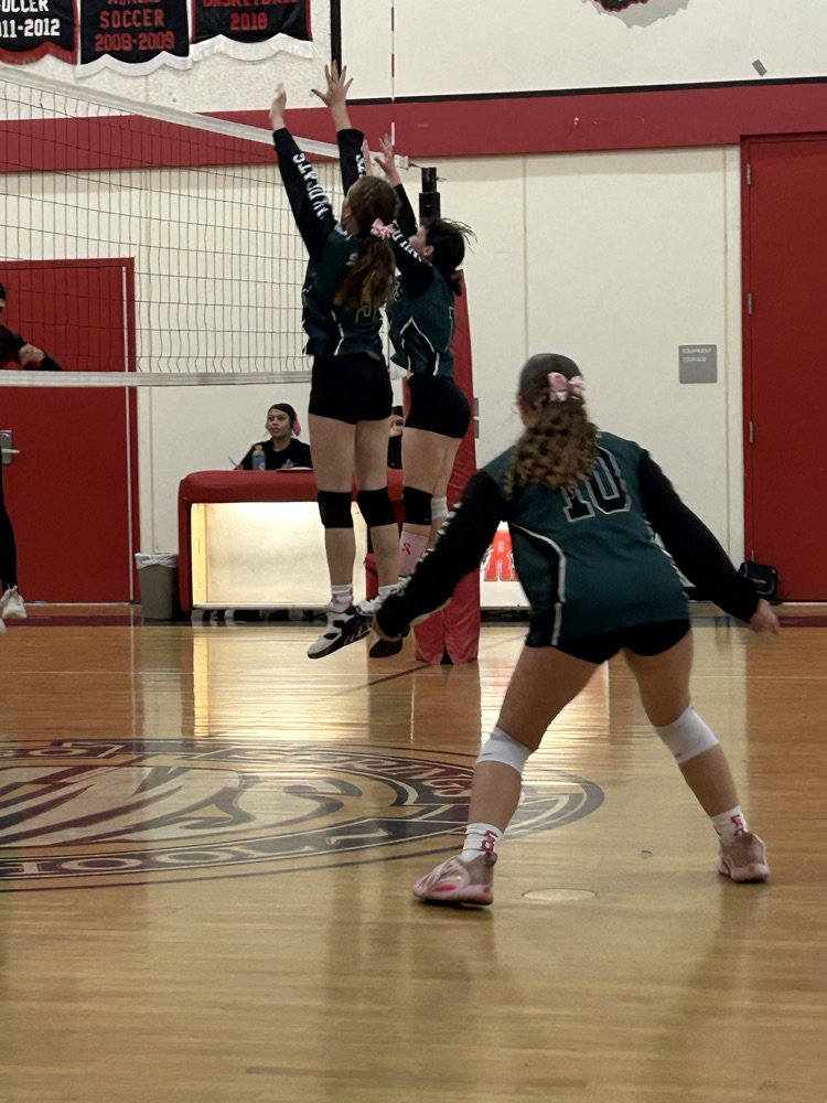 varsity volleyball
