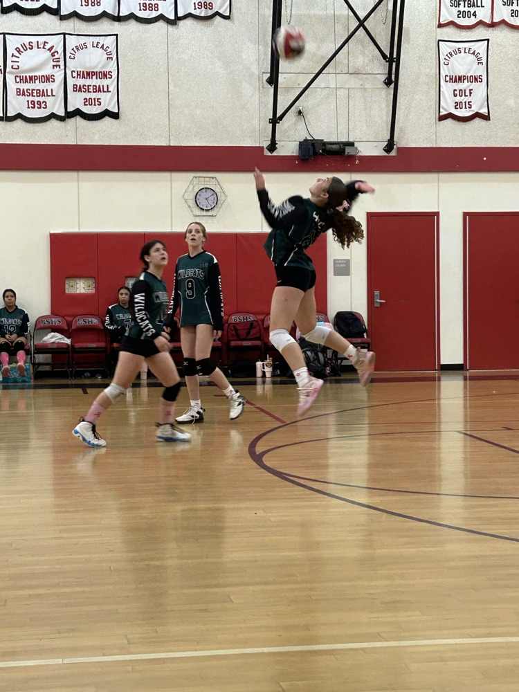 varsity volleyball