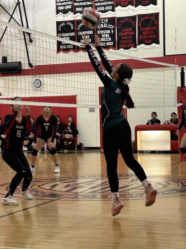 varsity volleyball