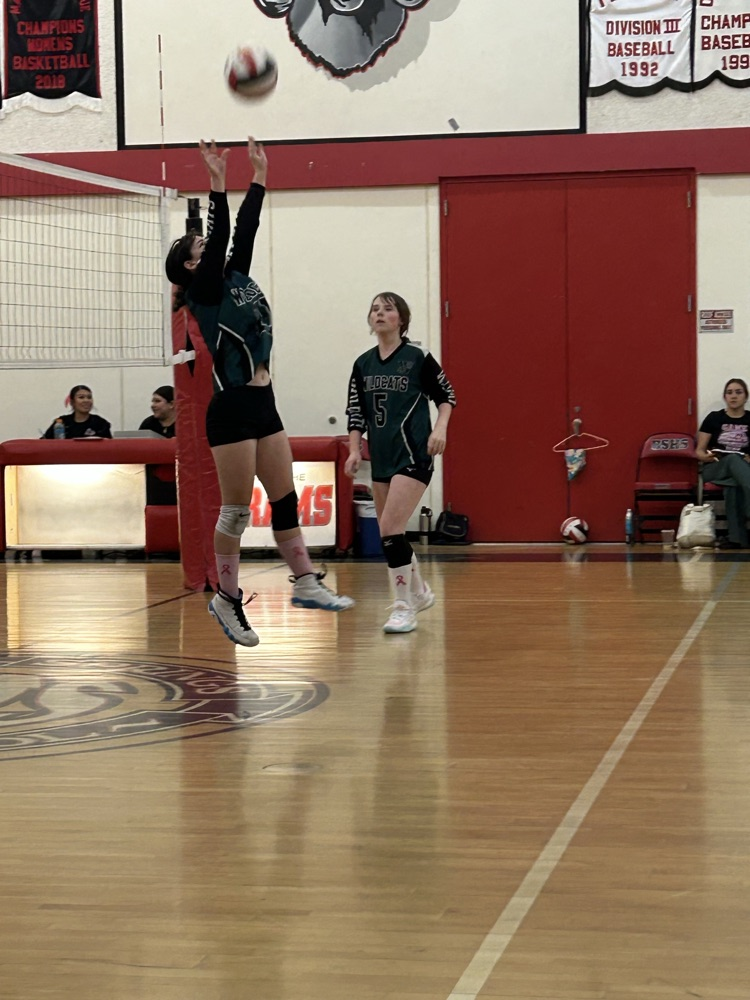 varsity volleyball