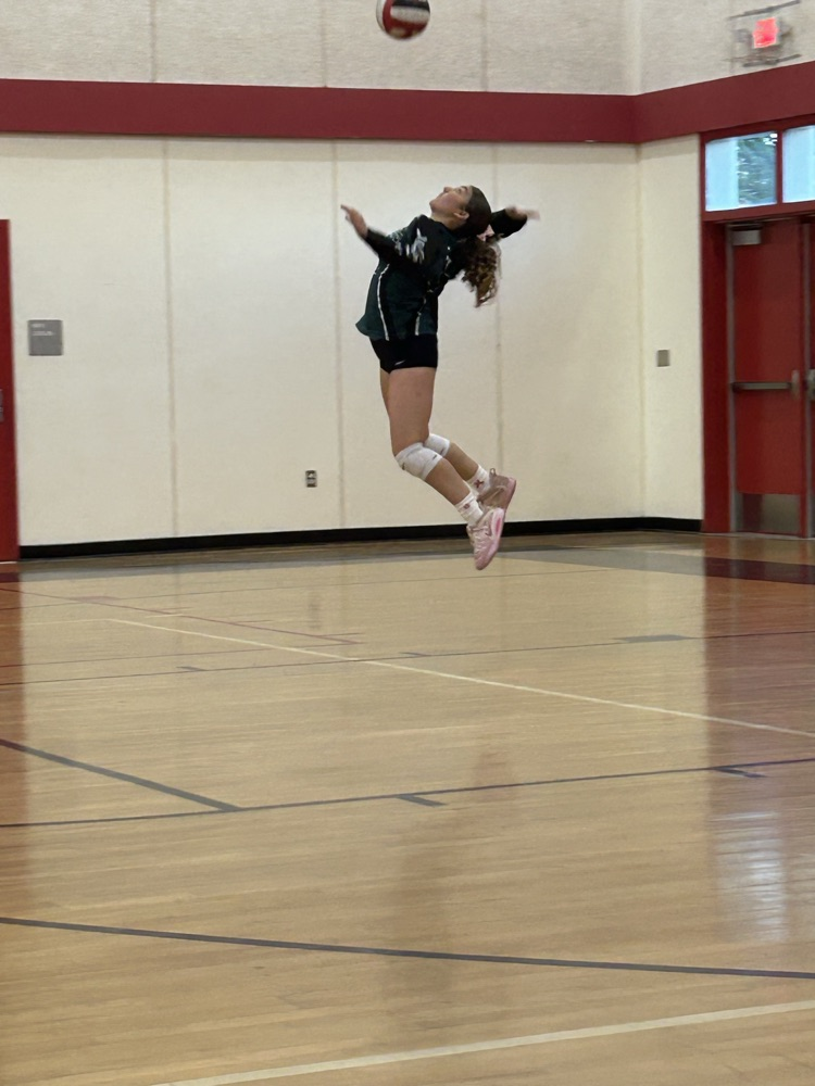 varsity volleyball
