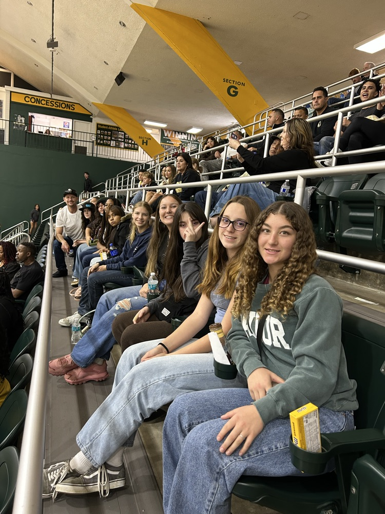 Point Loma sea lions