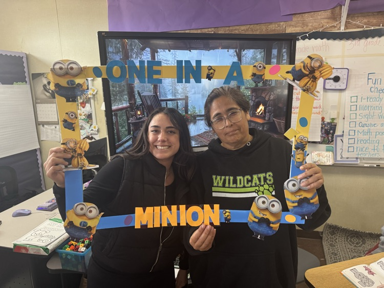Ms. Sanchez & Ms. Lisa “One in a Minion"