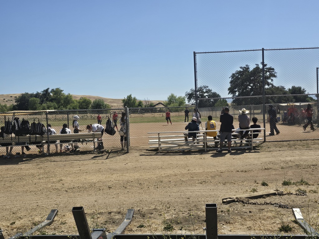 at the field