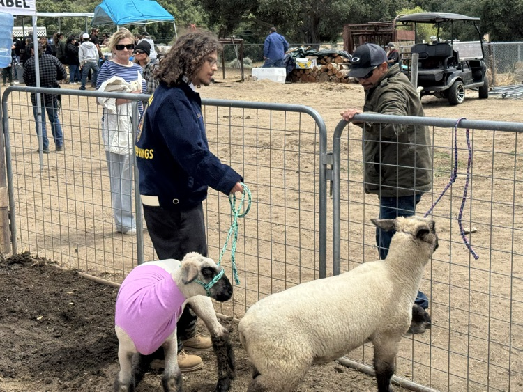 Showmanship