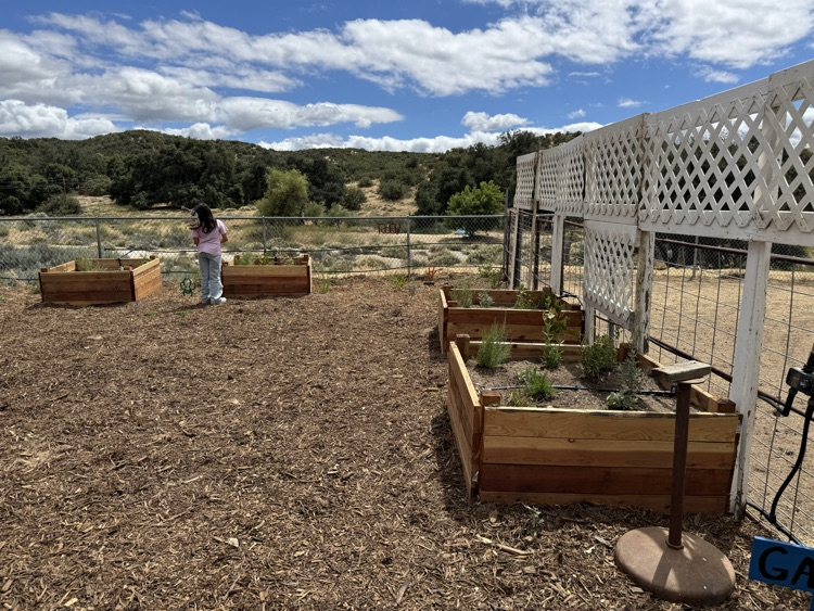 Native Garden
