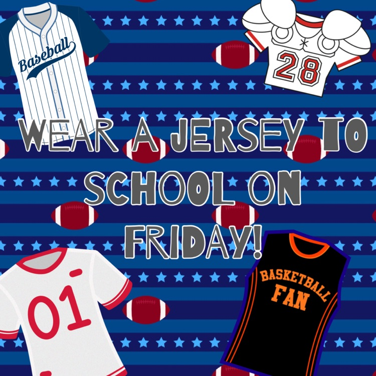 jersey/spirts shirt