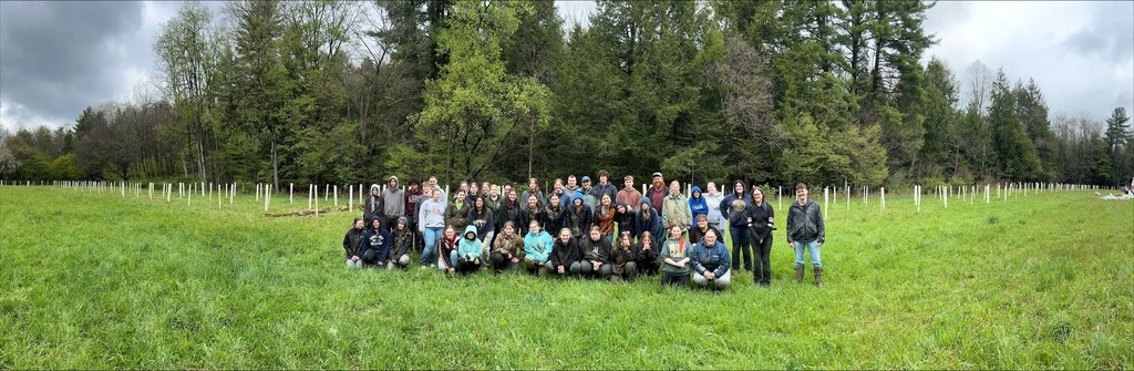 Hatch Run Location - Tree Planting Group #1 (approx. 450 trees)