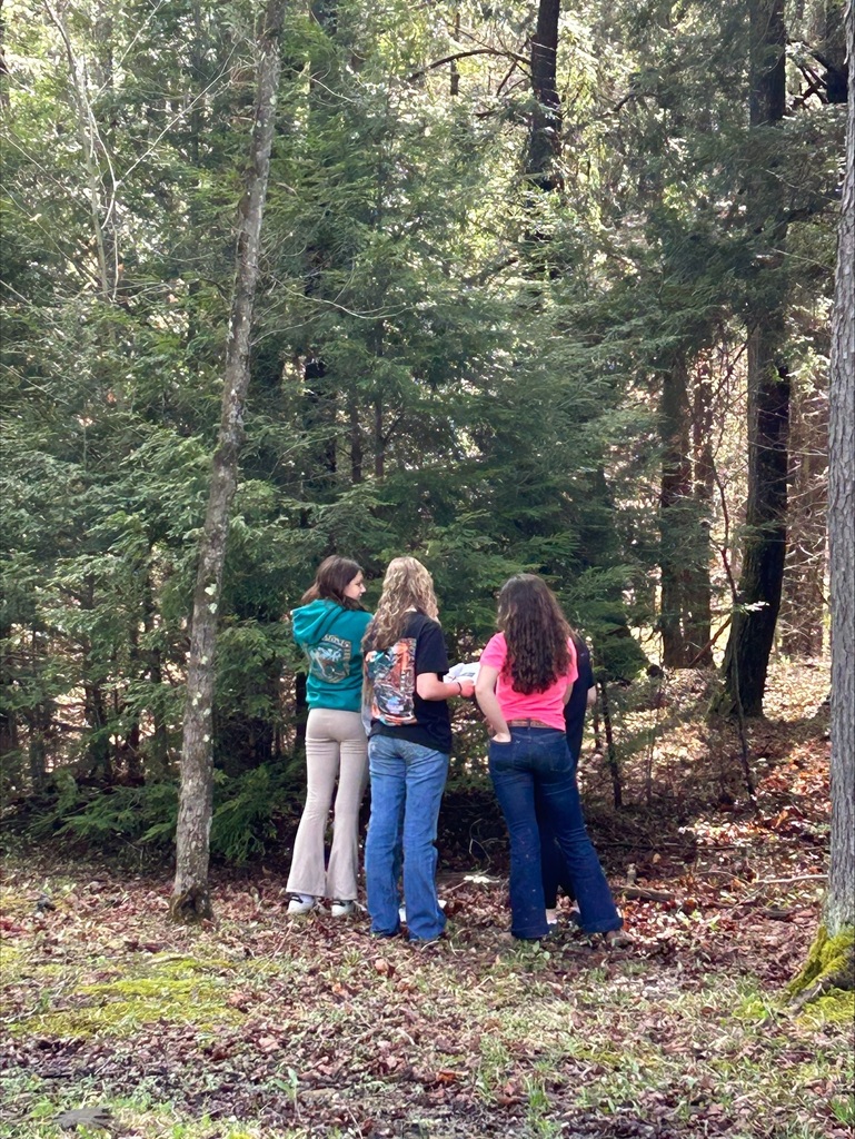 WCSD Envirothon team working at a station (picture 3)
