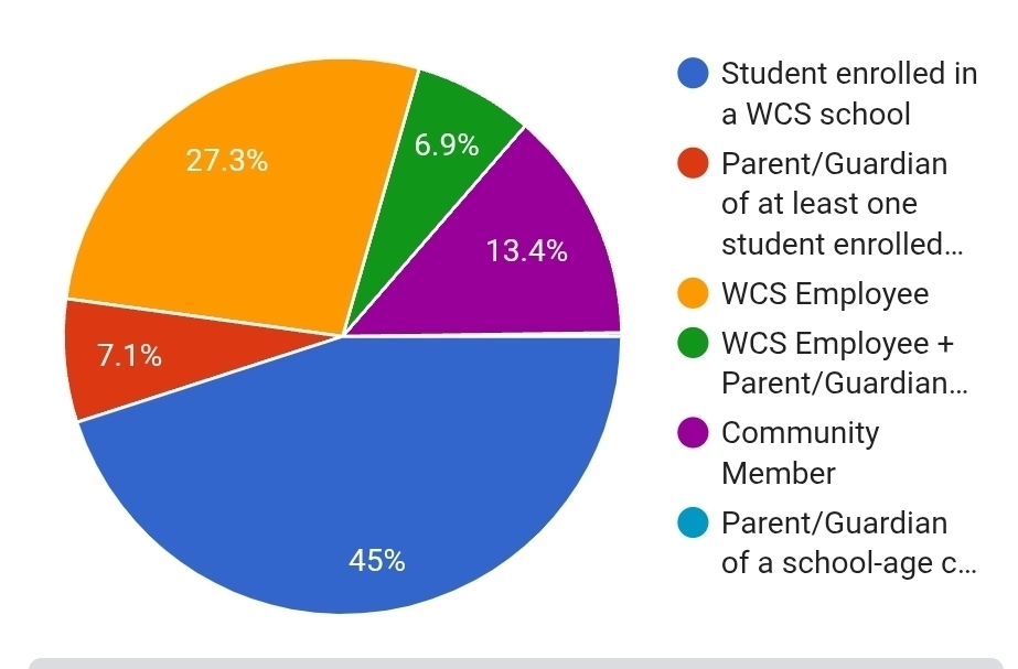 Strategic Plan survey respondents
