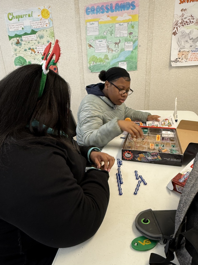 Fun with Circuit Kits