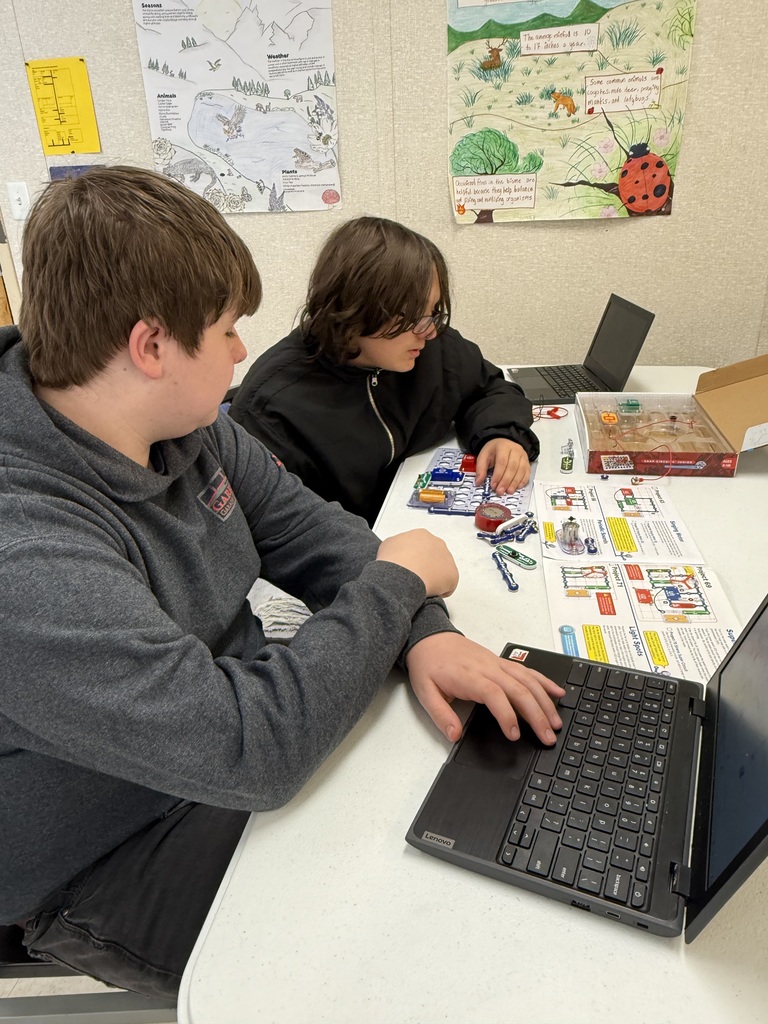 Fun with Circuit Kits