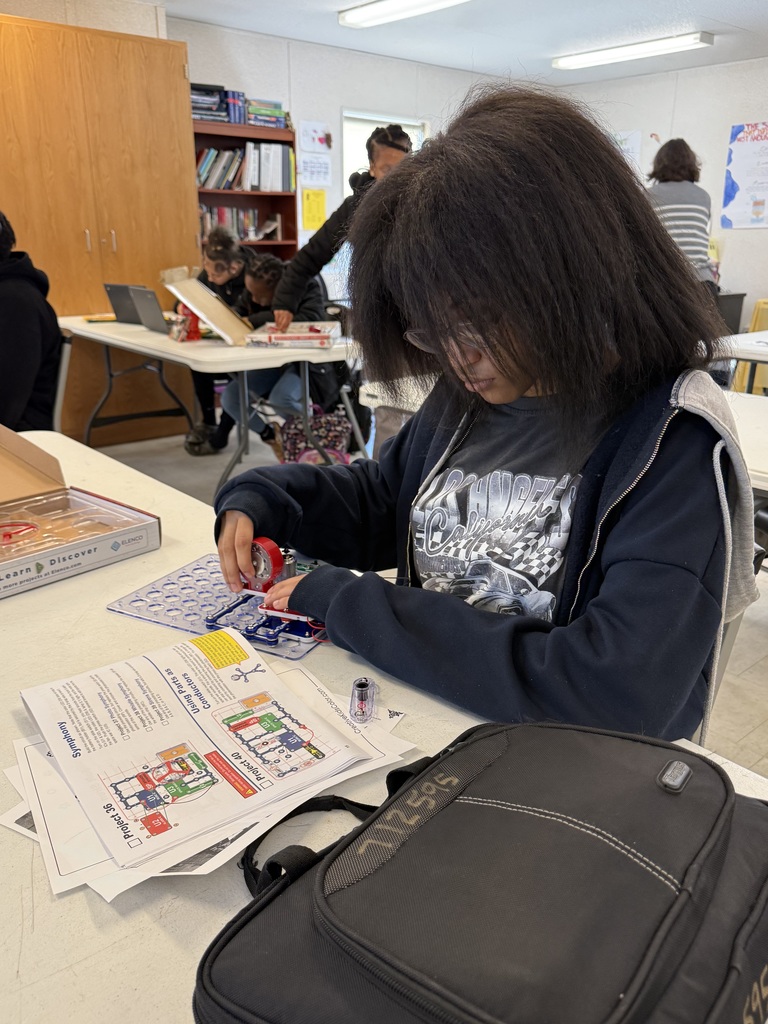 Fun with Circuit Kits