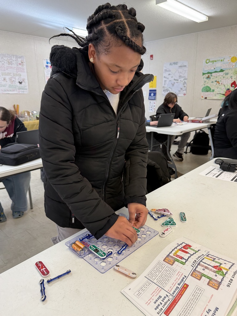 Fun with Circuit Kits