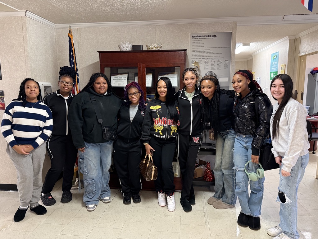 Sonaya Goode-Voices of the Profession