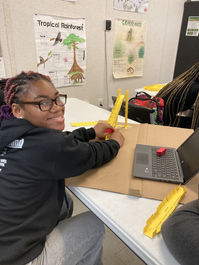 Roller Coaster Making in Physical Science