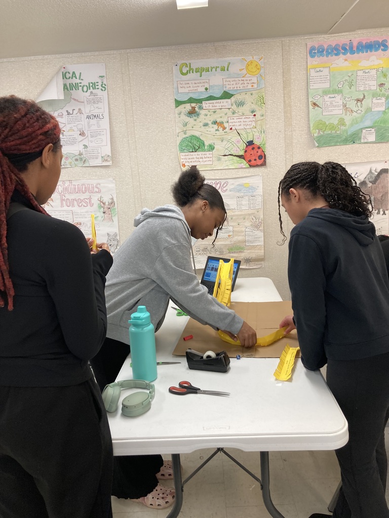 Roller Coaster Making in Physical Science