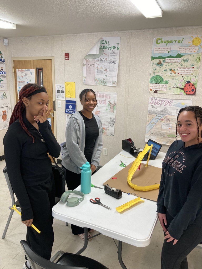 Roller Coaster Making in Physical Science