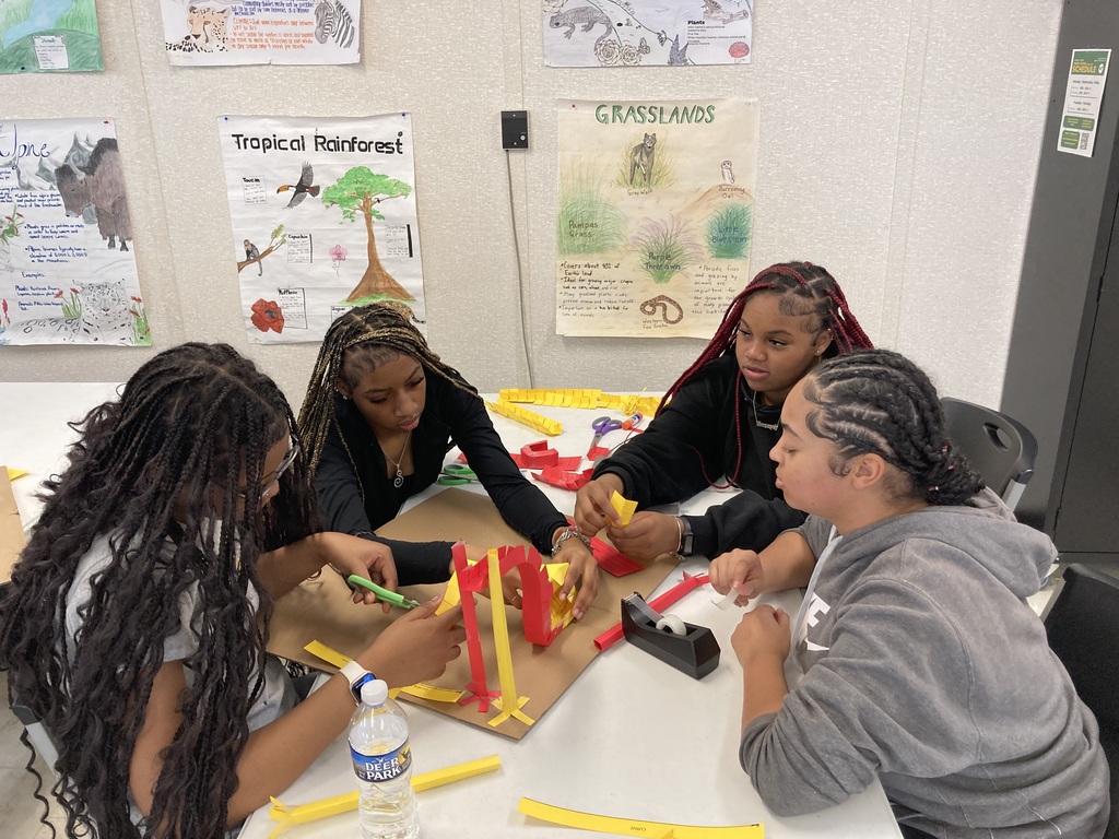 Roller Coaster Making in Physical Science