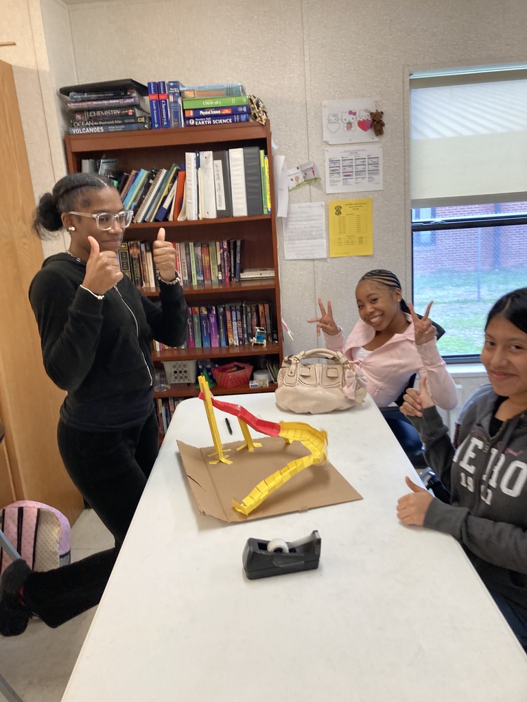 Roller Coaster Making in Physical Science