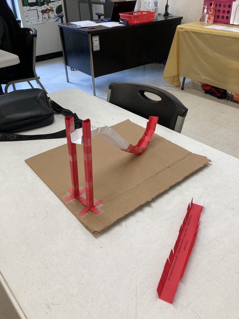 Roller Coaster Making in Physical Science