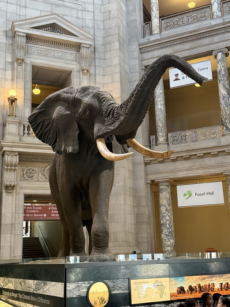 WECHS visits the Smithsonian