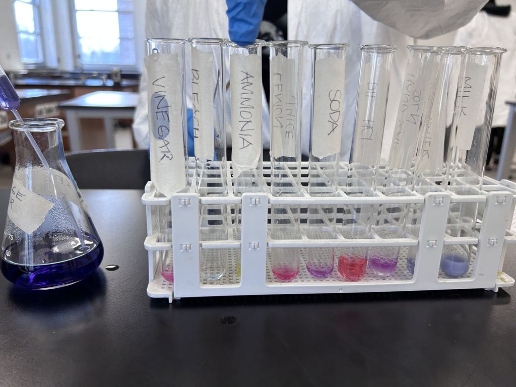Aumentado kitchen chemistry physical science march 6 2026 warren county high school warrenton nc (4)