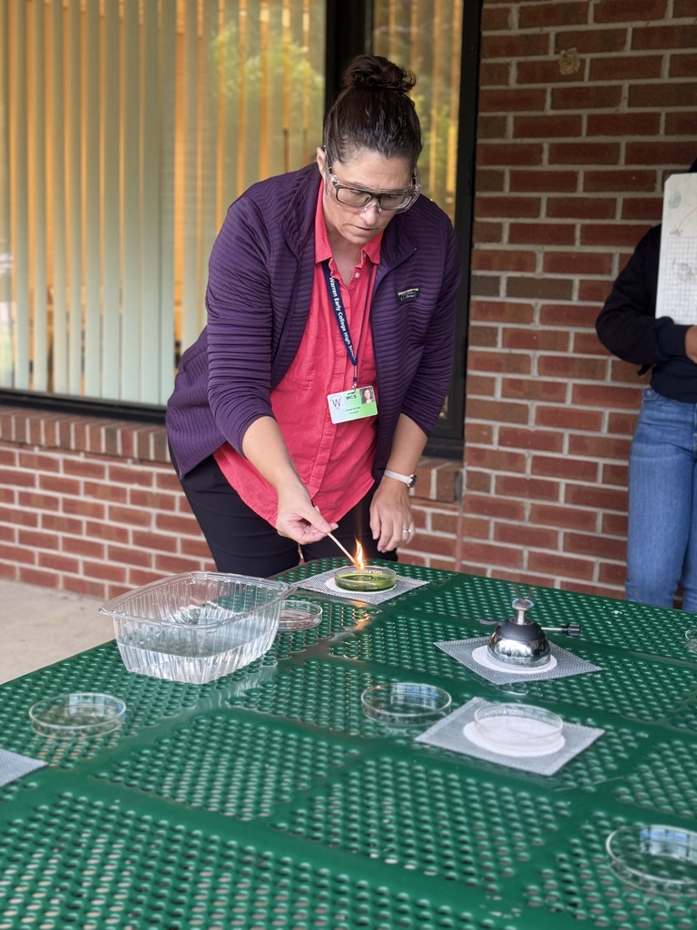 Flame test lab