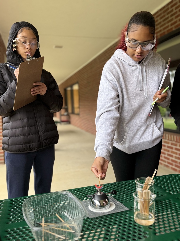 Flame test lab