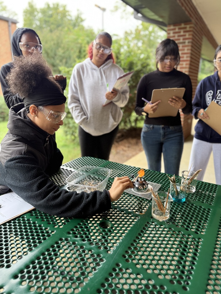 Flame test lab