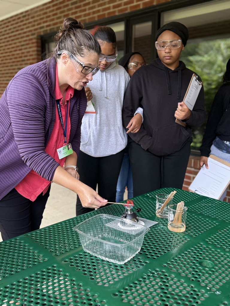 Flame test lab