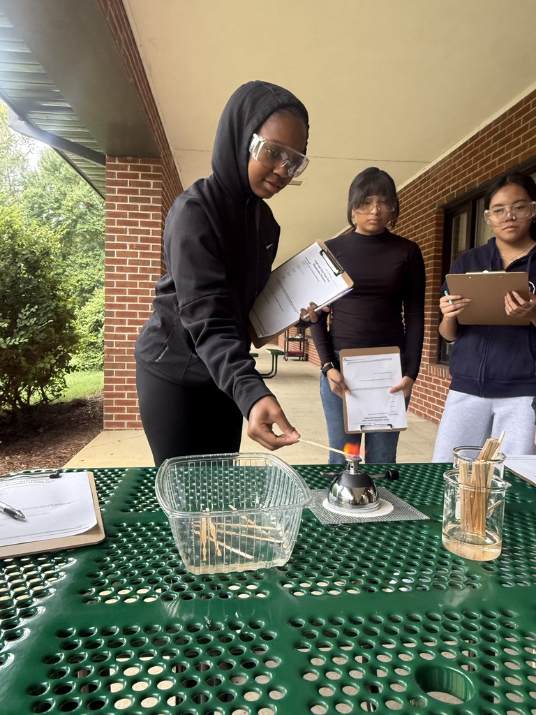 Flame test lab