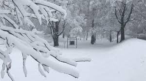 snow day