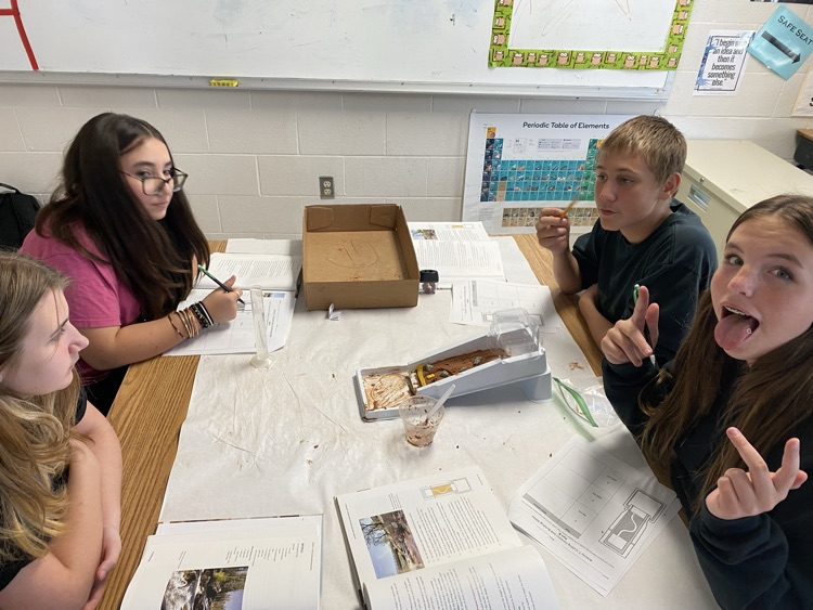 8th grade is building erosion control structures in science.