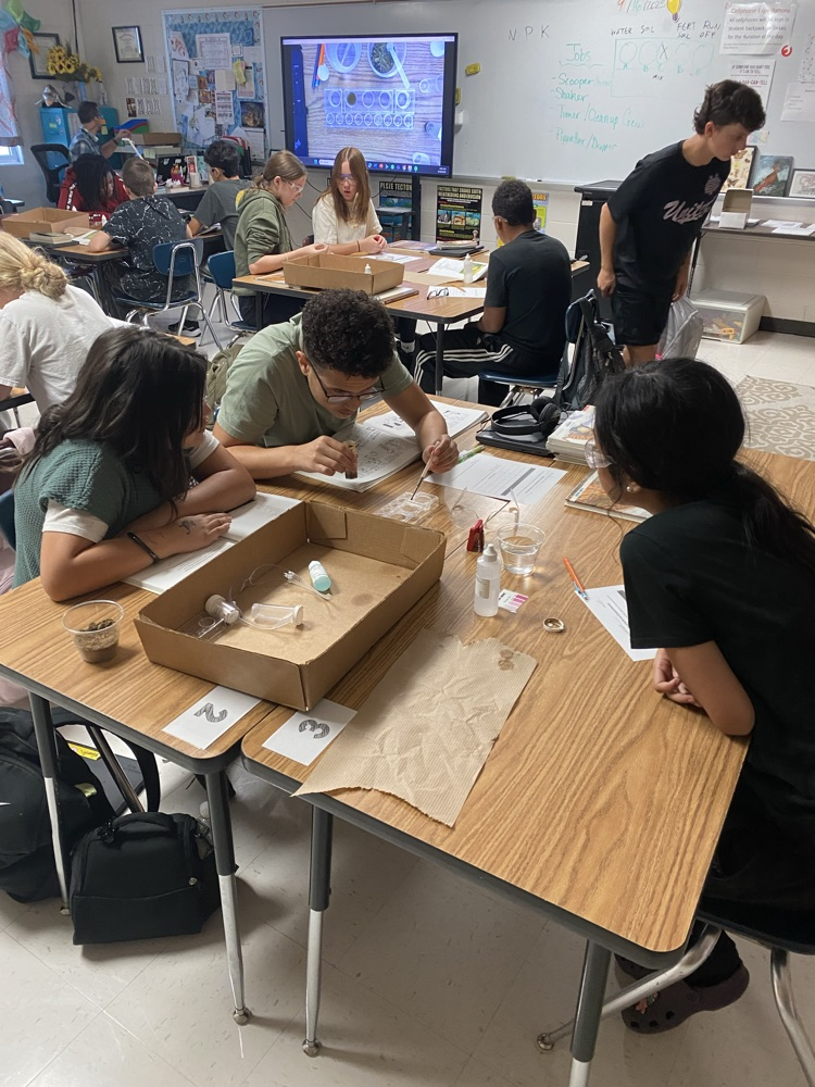 8th grade Science extracting Nitrates from soil 🪴 