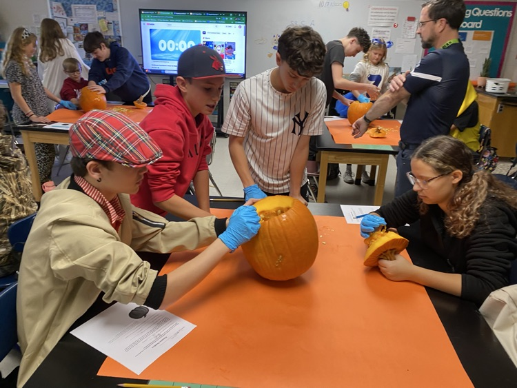 8th Grade Exploratory Agriculture is exploring Agri-tourism today by cleaning out pumpkins and simulating starting a Pumpkin patch 🎃