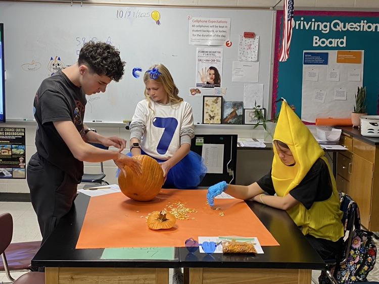 8th Grade Exploratory Agriculture is exploring Agri-tourism today by cleaning out pumpkins and simulating starting a Pumpkin patch 🎃