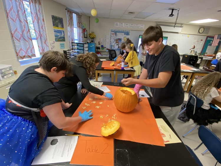 8th Grade Exploratory Agriculture is exploring Agri-tourism today by cleaning out pumpkins and simulating starting a Pumpkin patch 🎃