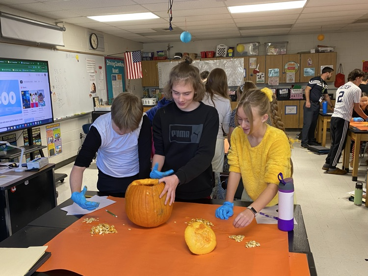 8th Grade Exploratory Agriculture is exploring Agri-tourism today by cleaning out pumpkins and simulating starting a Pumpkin patch 🎃