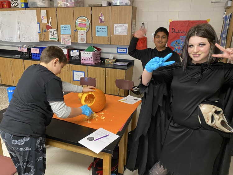 8th Grade Exploratory Agriculture is exploring Agri-tourism today by cleaning out pumpkins and simulating starting a Pumpkin patch 🎃