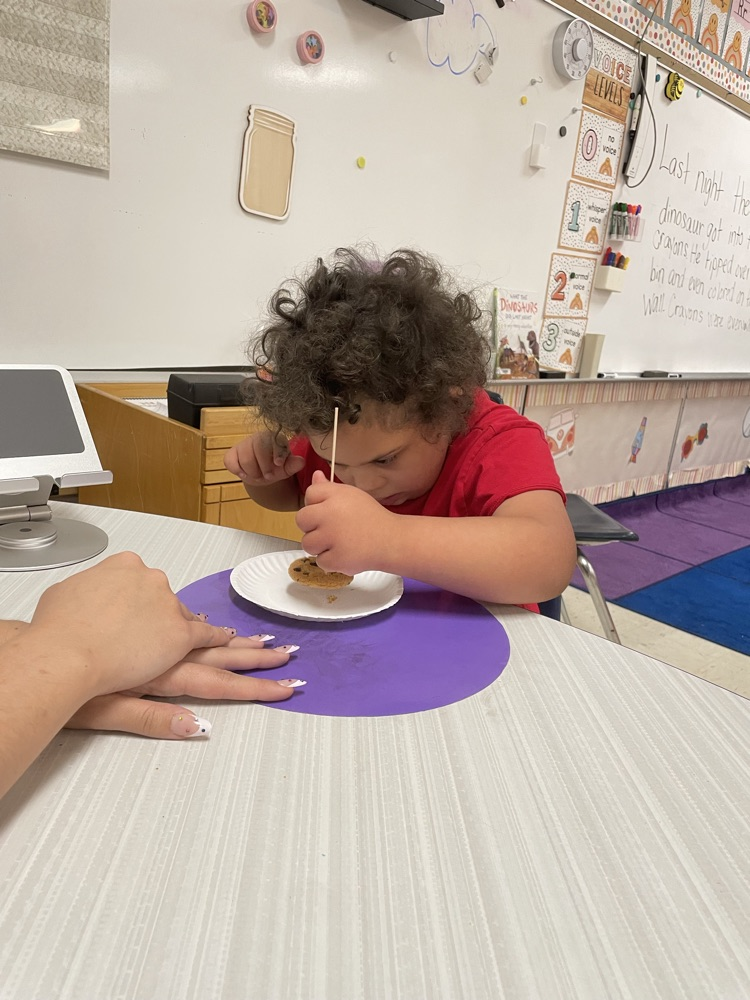 chocolate chip excavation