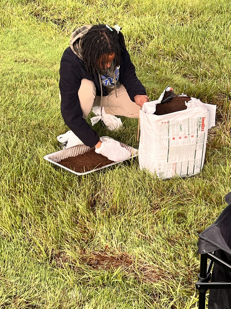 environmental science students