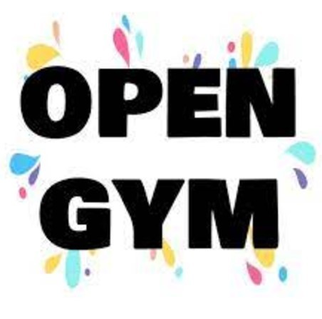 ECFE Open Gym Night