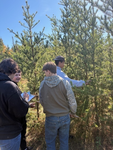 Tree population study