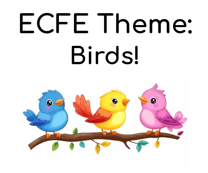 ECFE Theme: Birds!