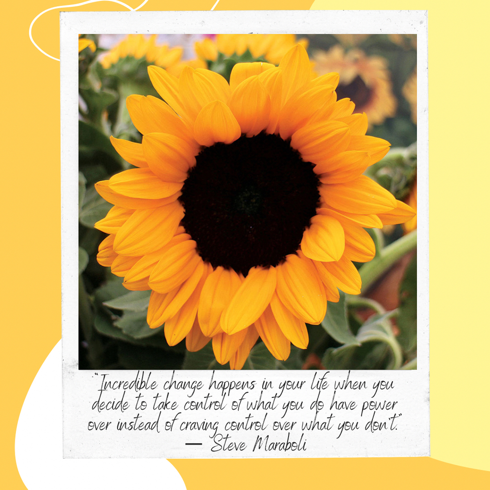 Sunflower with Quote